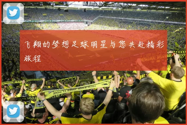 飞翔的梦想足球明星与您共赴精彩旅程