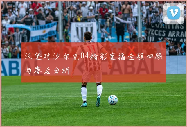 汉堡对沙尔克04精彩直播全程回顾与赛后分析