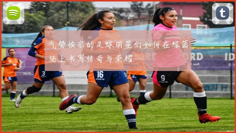 气势恢宏的足球明星们如何在绿茵场上书写传奇与荣耀