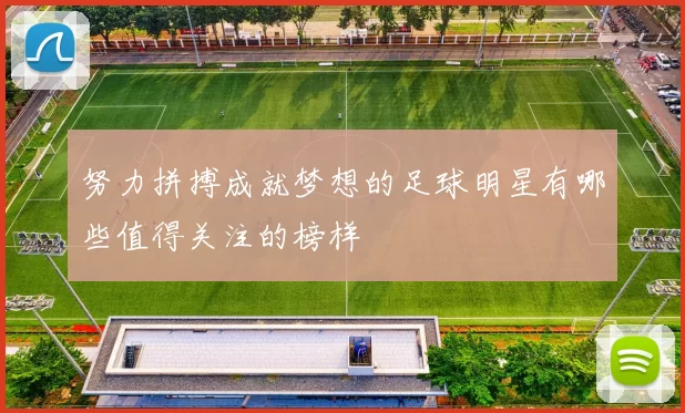 努力拼搏成就梦想的足球明星有哪些值得关注的榜样