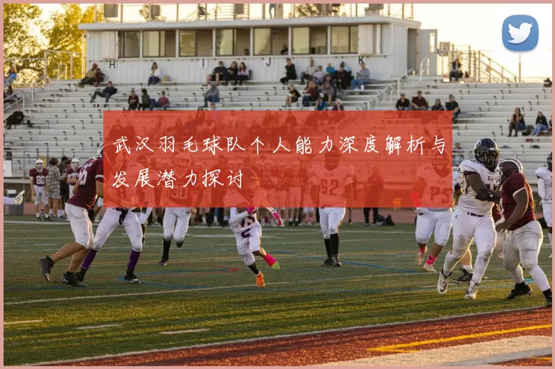 武汉羽毛球队个人能力深度解析与发展潜力探讨