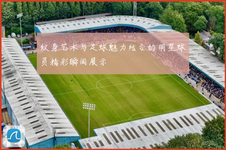 纹身艺术与足球魅力结合的明星球员精彩瞬间展示