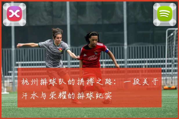 杭州排球队的拼搏之路：一段关于汗水与荣耀的排球纪实