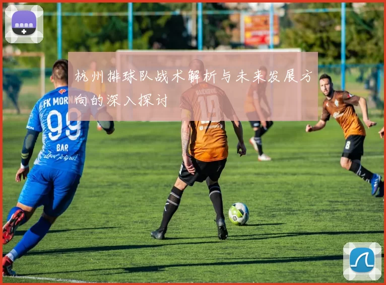 杭州排球队战术解析与未来发展方向的深入探讨