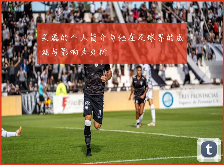 吴磊的个人简介与他在足球界的成就与影响力分析
