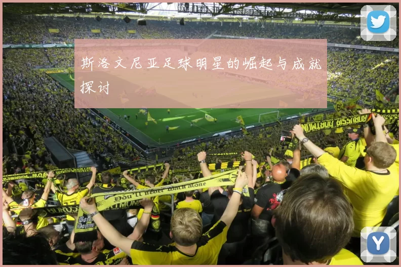 斯洛文尼亚足球明星的崛起与成就探讨
