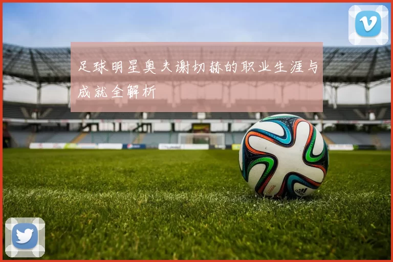 足球明星奥夫谢切赫的职业生涯与成就全解析