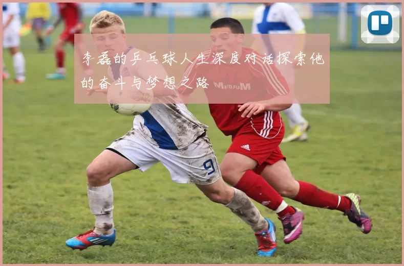 李磊的乒乓球人生深度对话探索他的奋斗与梦想之路